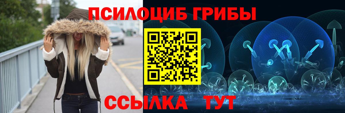 Чита  Галлюциногенные грибы Psilocybine cubensis  Вход с VPN 
